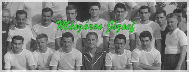 Száz éve született Mészáros József